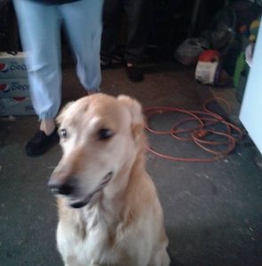 Meet your Posher, Diane